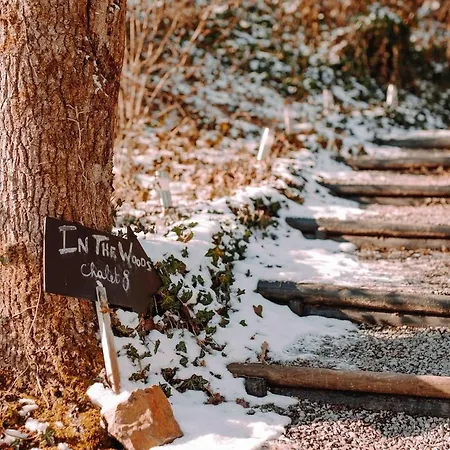 ゲストハウス Avec Jacuzzi Ou Dans Les Bois 4*